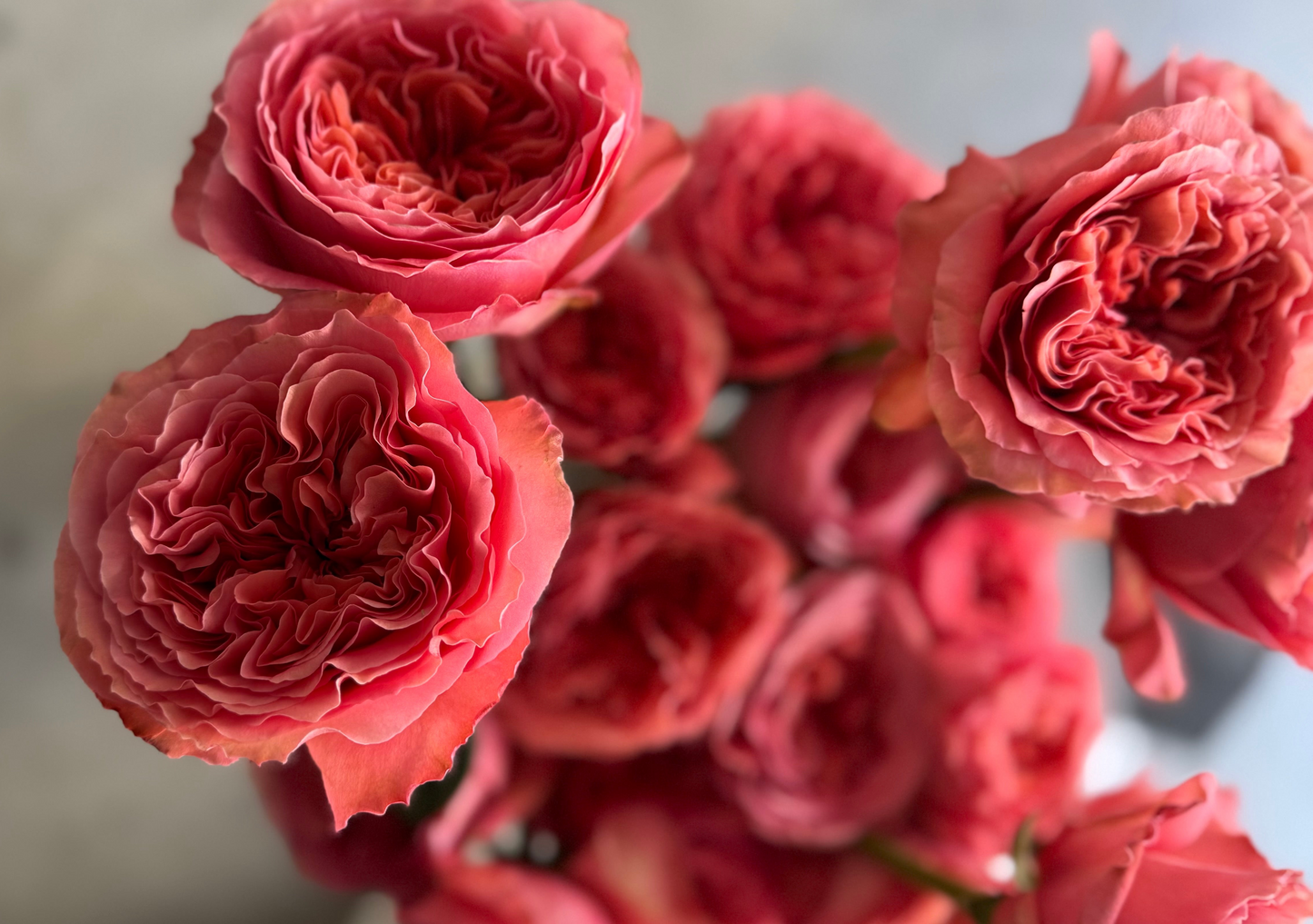 Peony rose bouquet