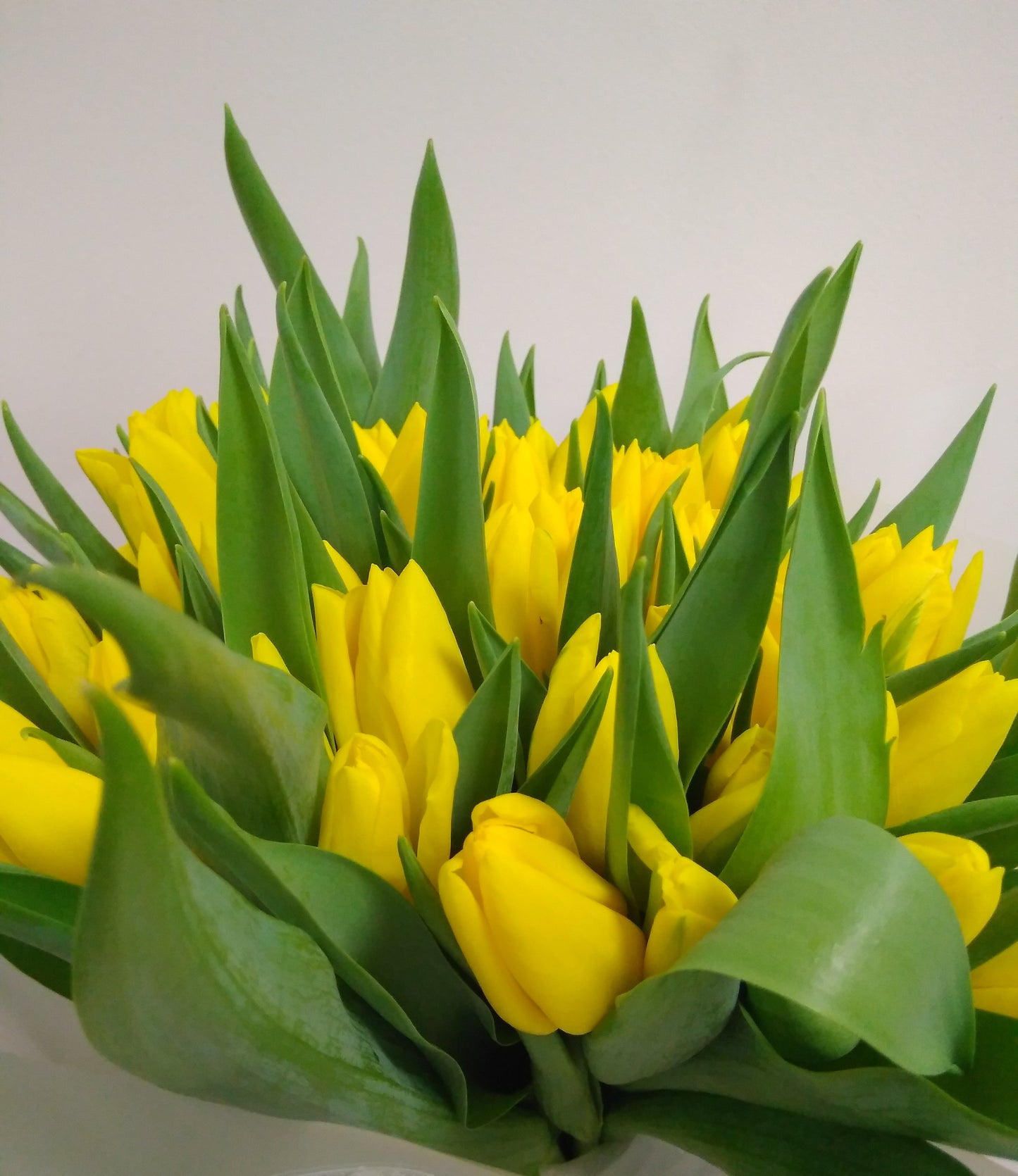 Sunny Delight Bouquet
