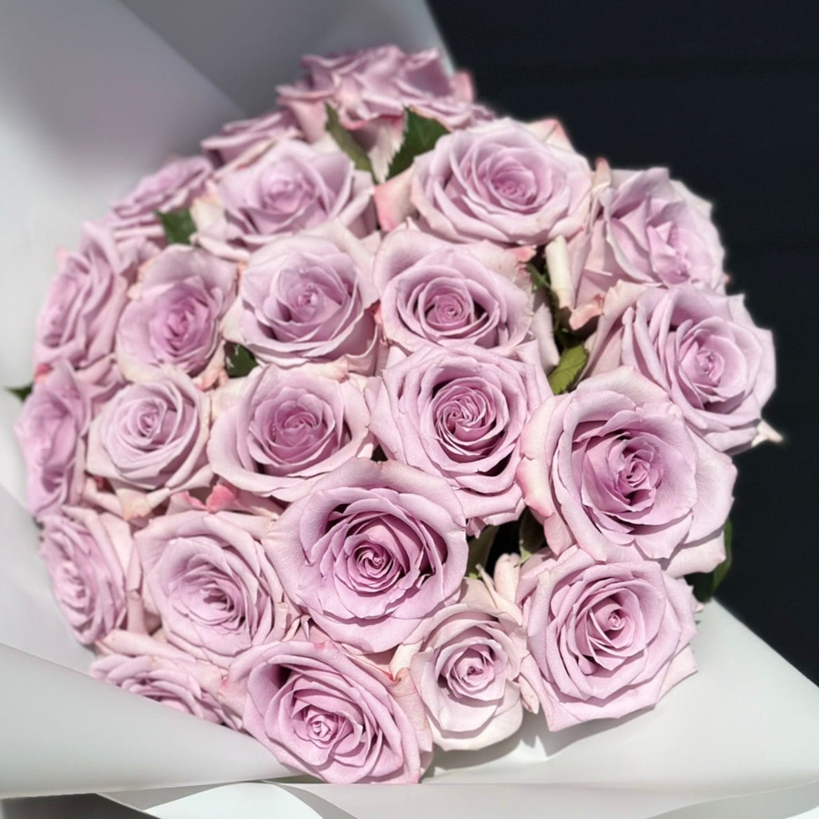 Lavender Dream