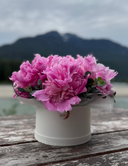 Peonies Dream Box