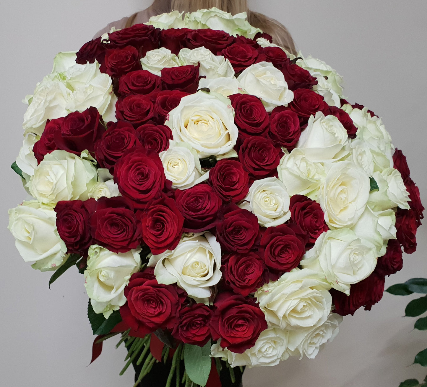 Red  &  White
