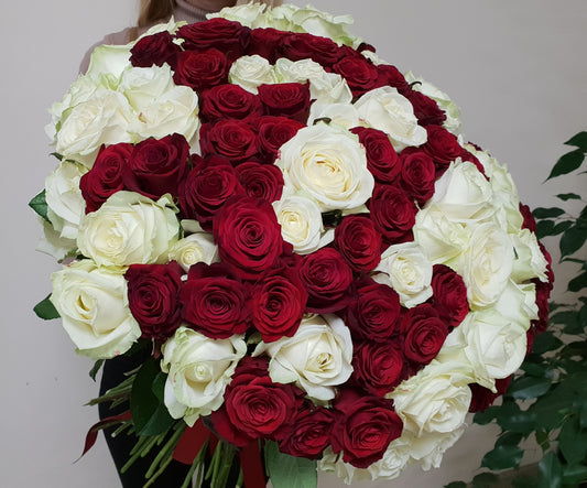 Red  &  White