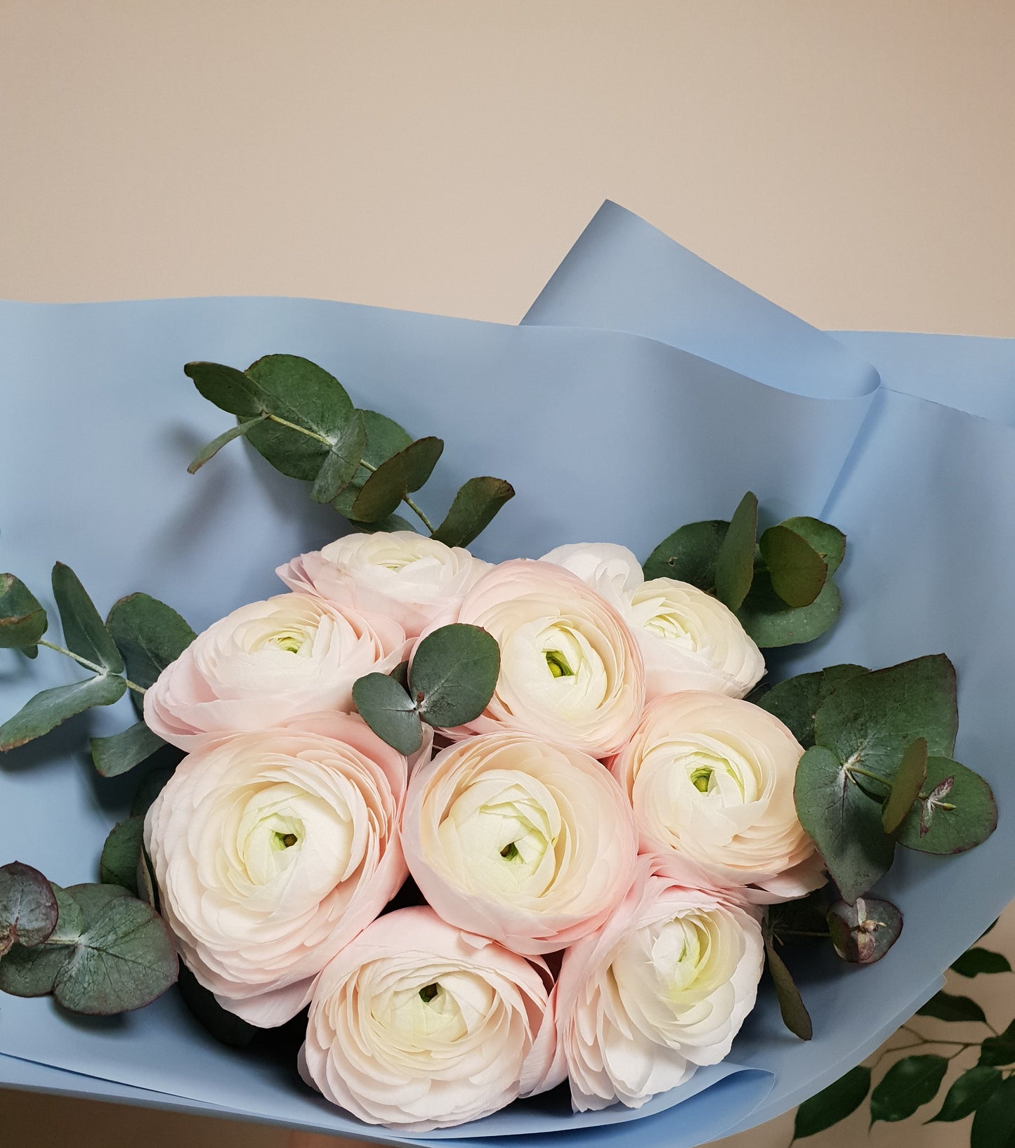 Elegant Pink Blush Ranunculus Bouquet