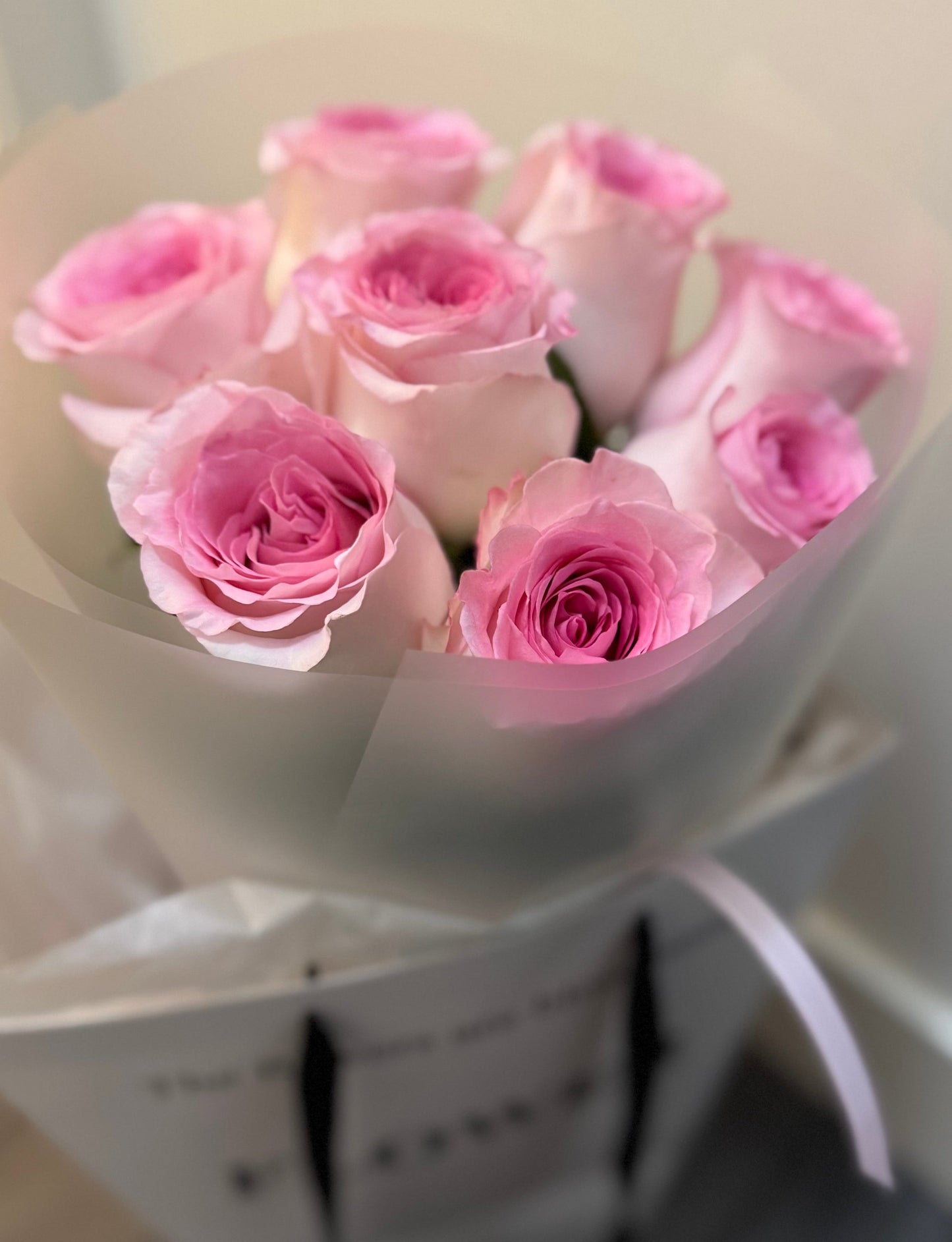 Blush Muse