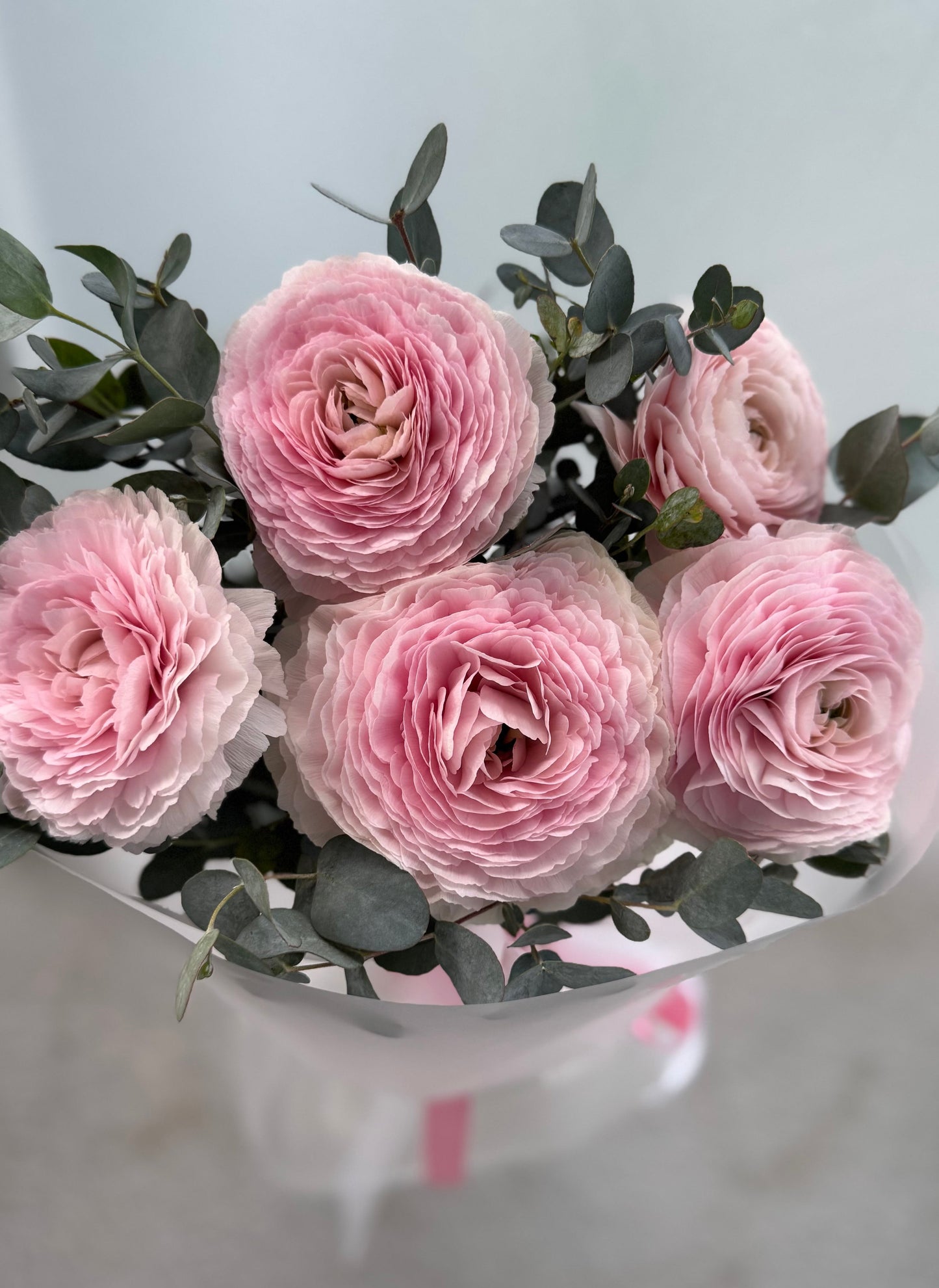 Elegant Pink Blush Ranunculus Bouquet