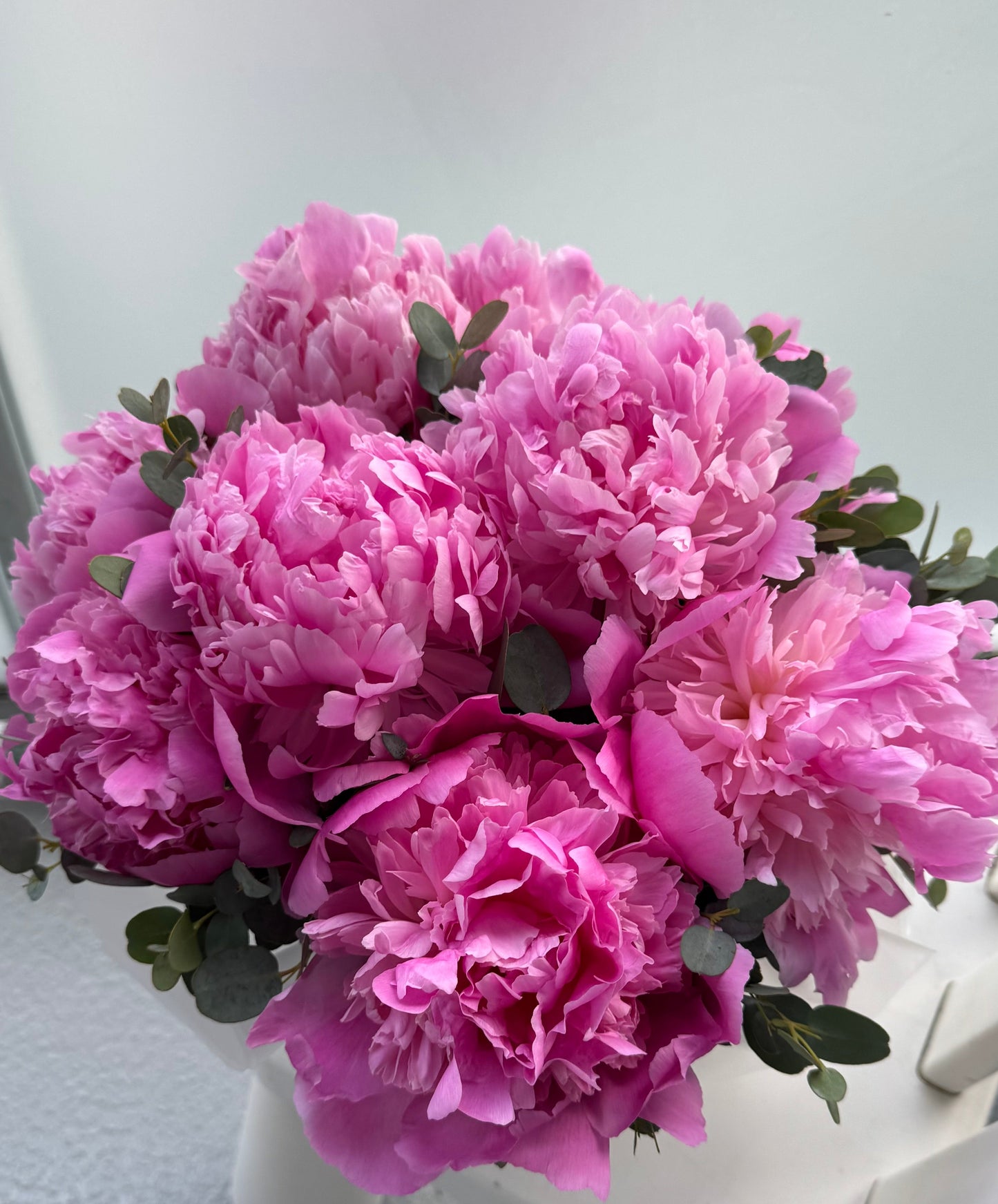 Peonies Dream Box