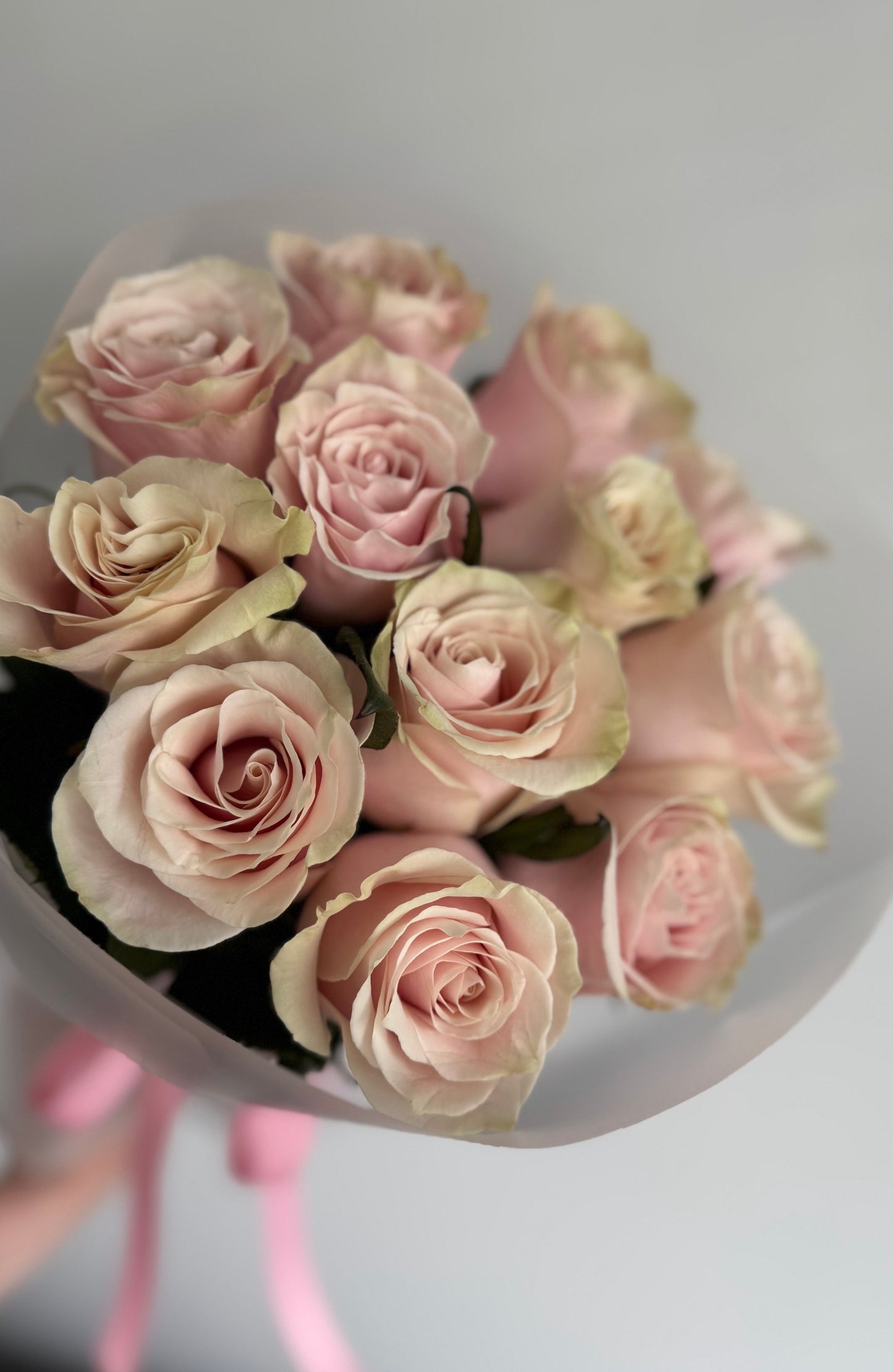 Delicate Lace Rose