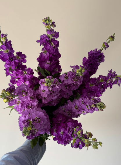 Fragrant Spring