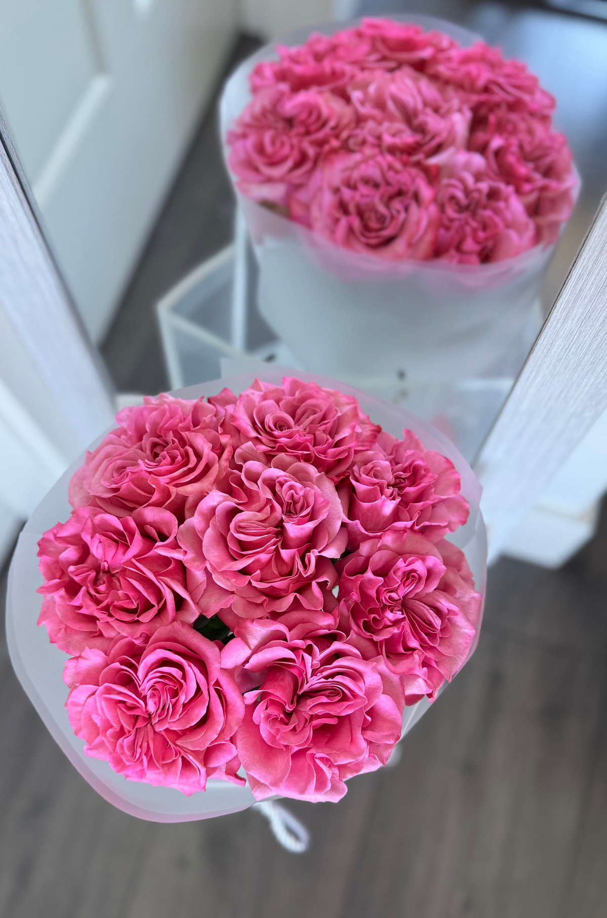Peony roses