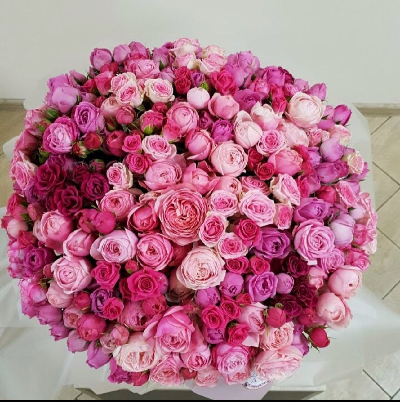 Blush Berry Bloom