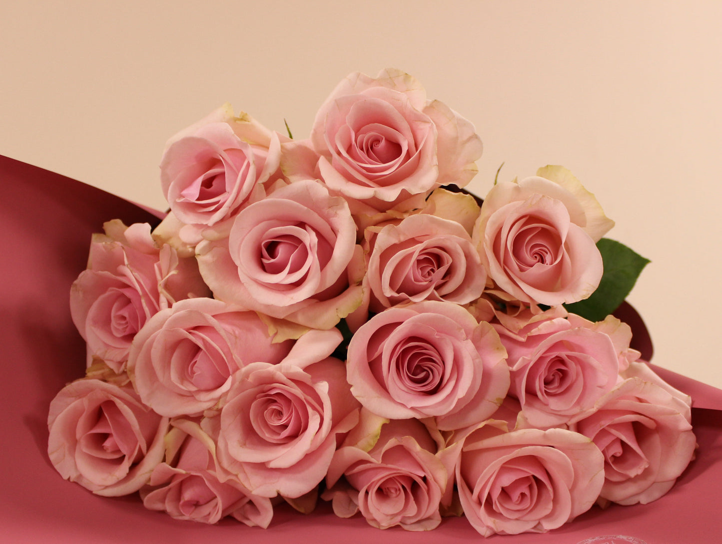 Blush Muse