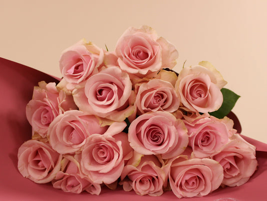 Blush Muse