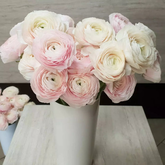 Premium Pink Blush Ranunculus Bouquet