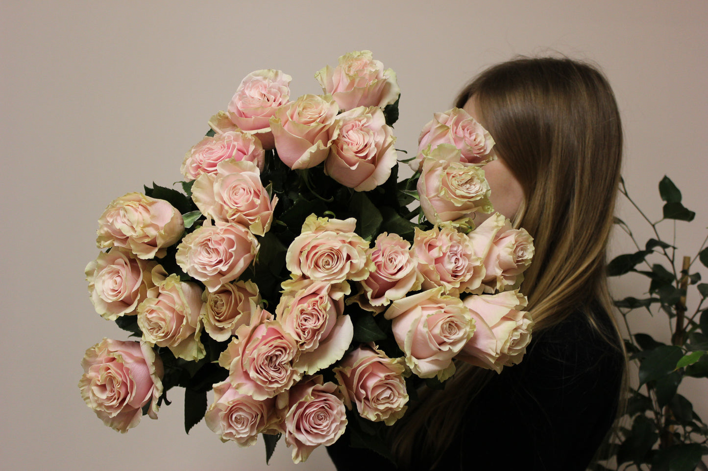 Premium Delicate Lace Rose