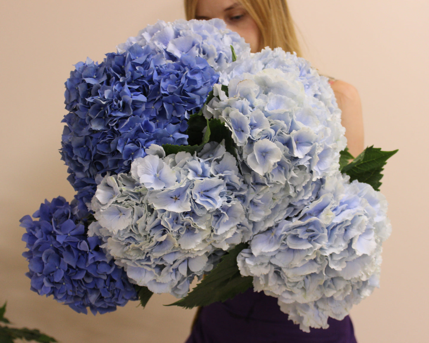 Hydrangea Bouquet