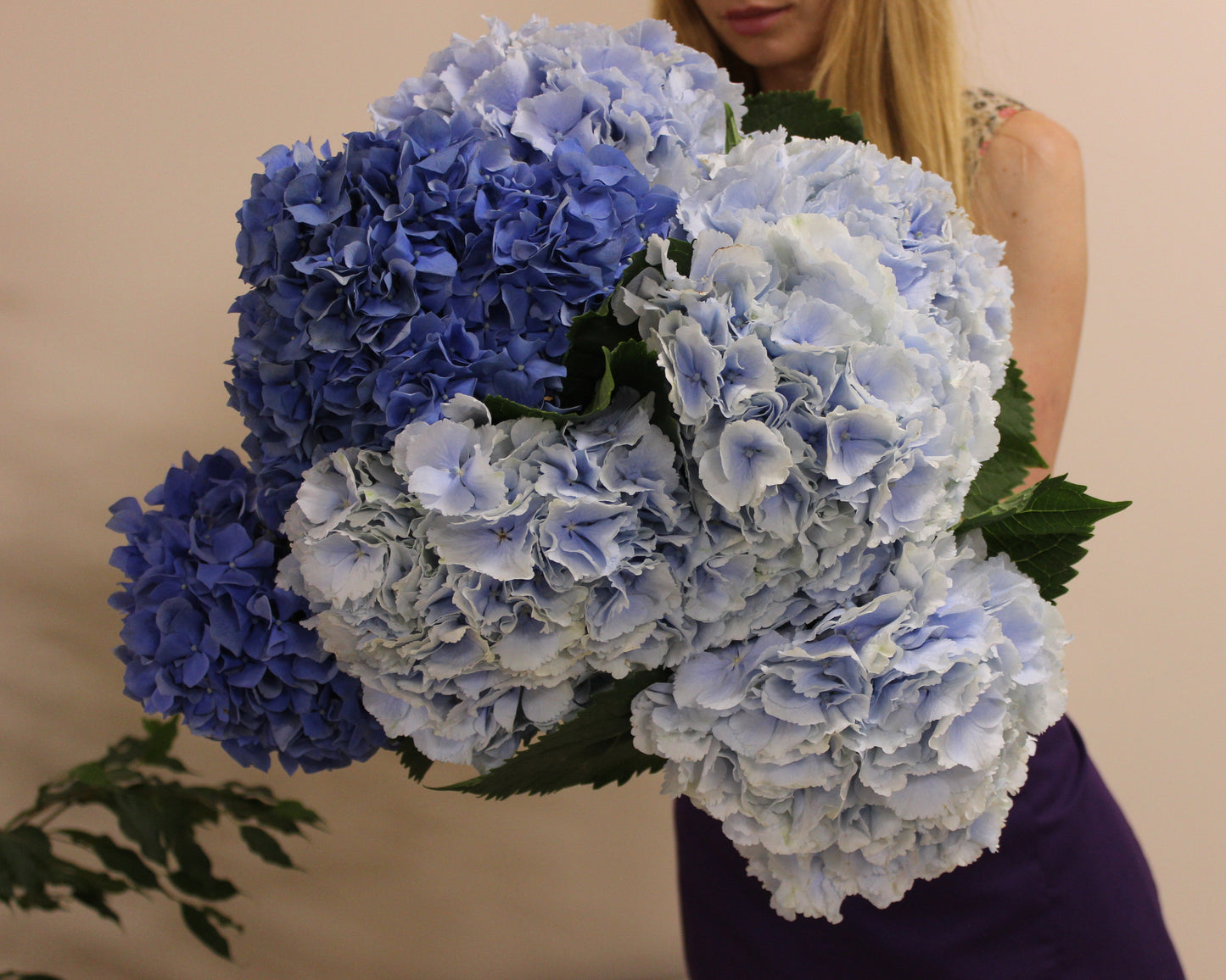 Hydrangea Bouquet