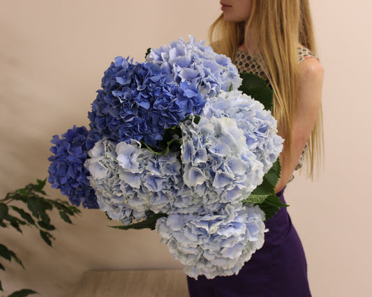 Hydrangea Bouquet