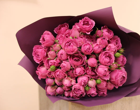 Raspberry Garden Spray Roses