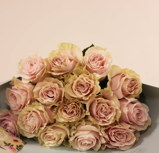 Premium Delicate Lace Rose