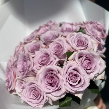 Lavender Dream