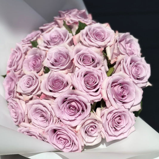 Lavender Dream